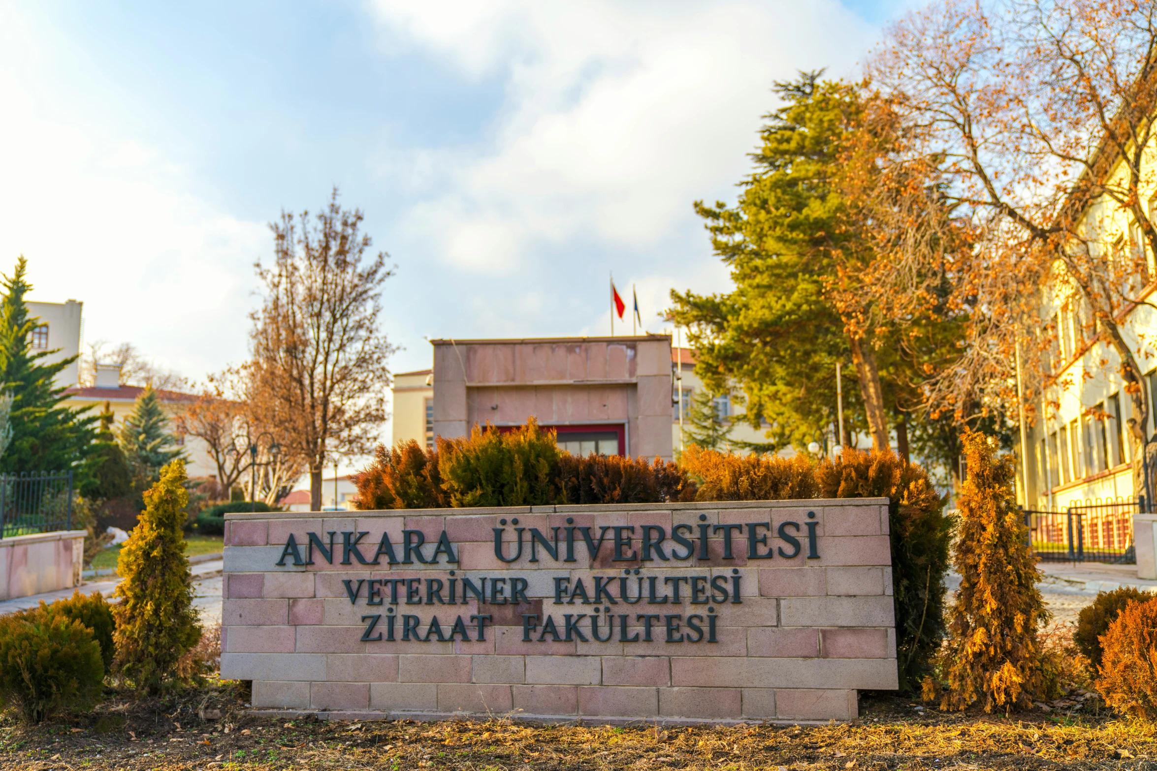 an image of an entrance sign at an university