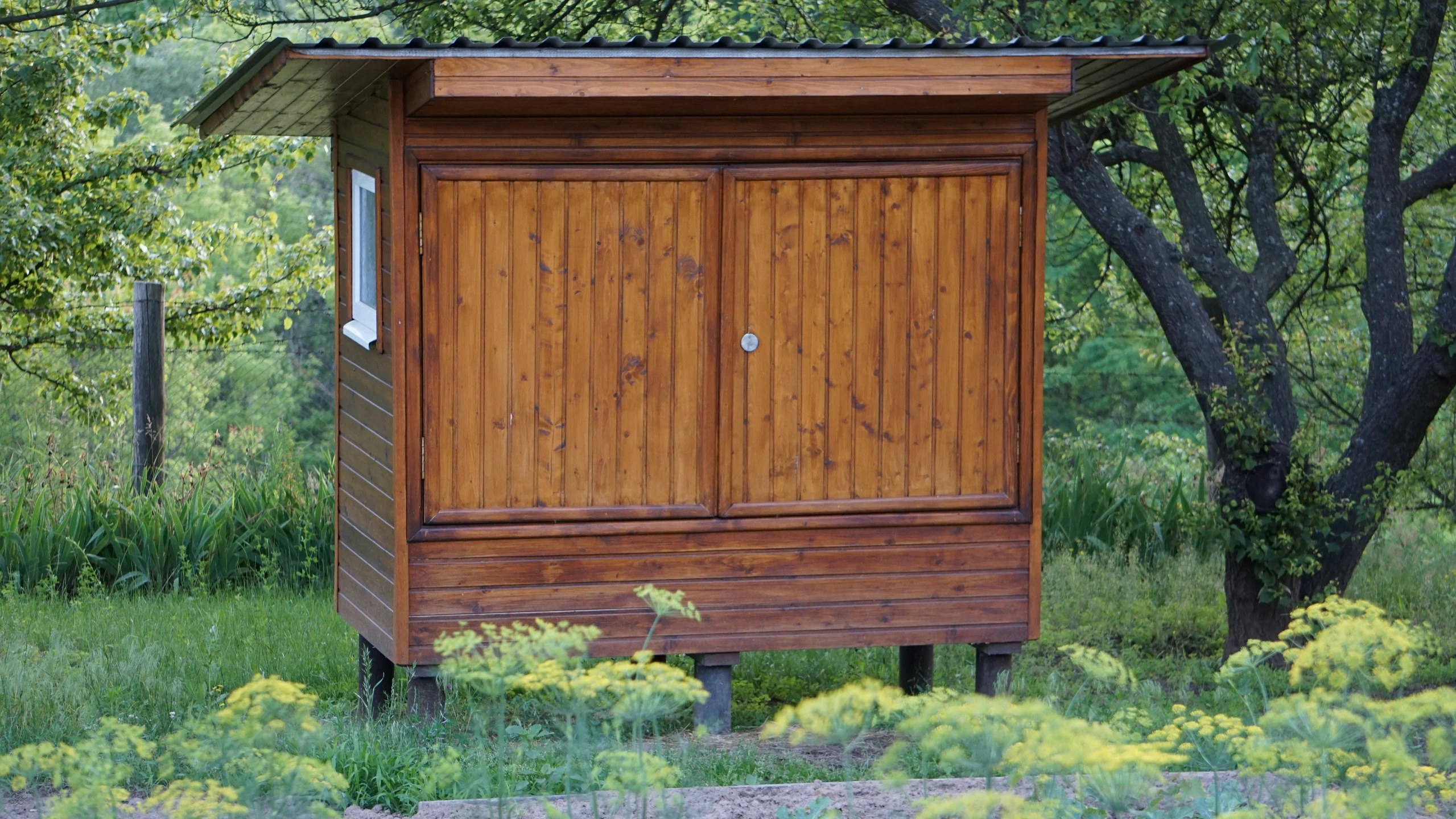 an outhouse sitting next to a tree in the woods