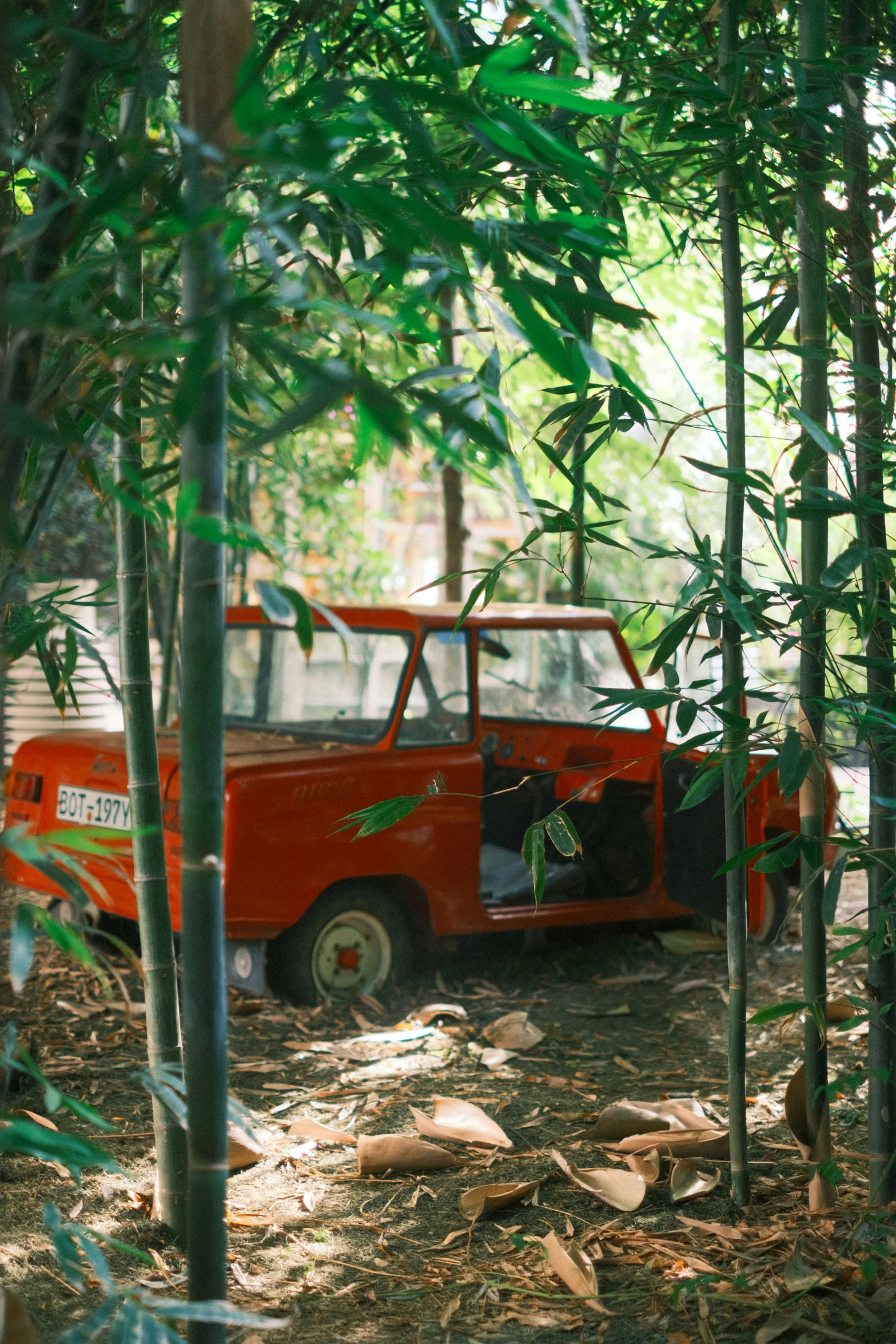 an old car parked amongst the trees and grass