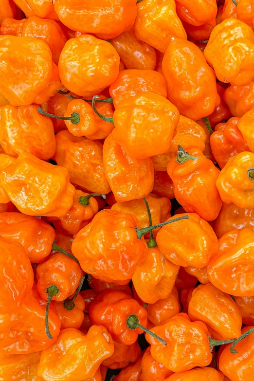 several pieces of orange food sitting on top of each other