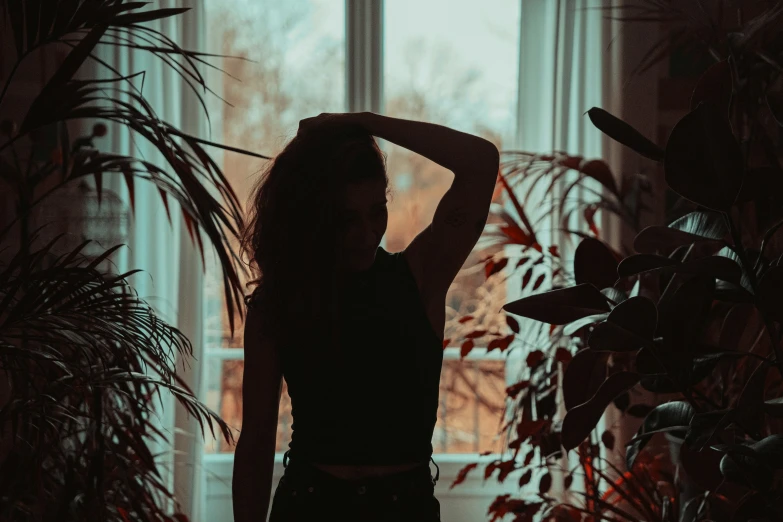 silhouetted woman standing in front of plant next to window