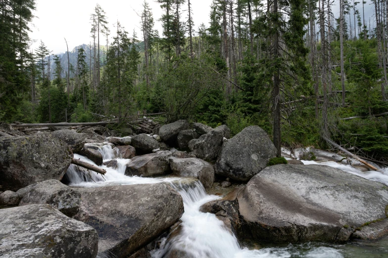 small stream running over large boulders in forest