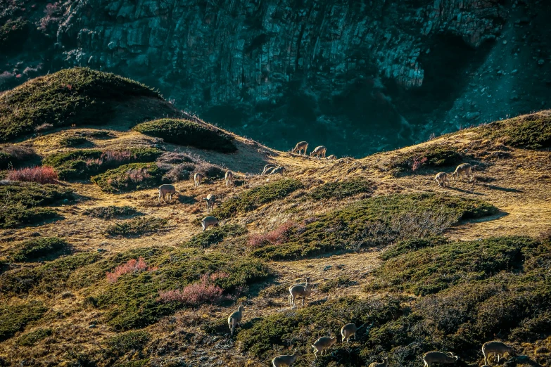 a grassy hill and some water on the side