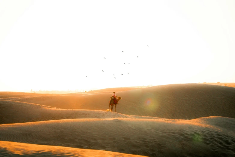 a lone person walking in the sand dunes