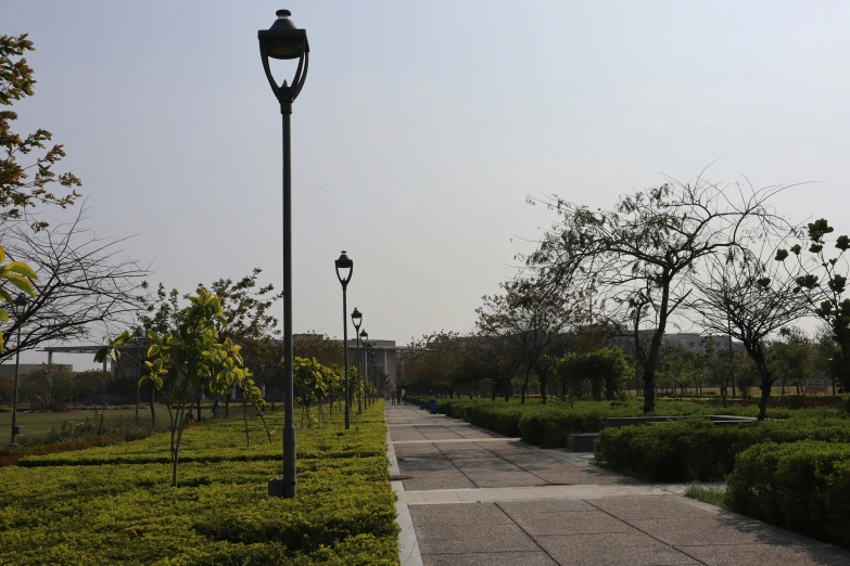 a lamp post next to a walkway in the middle of a park