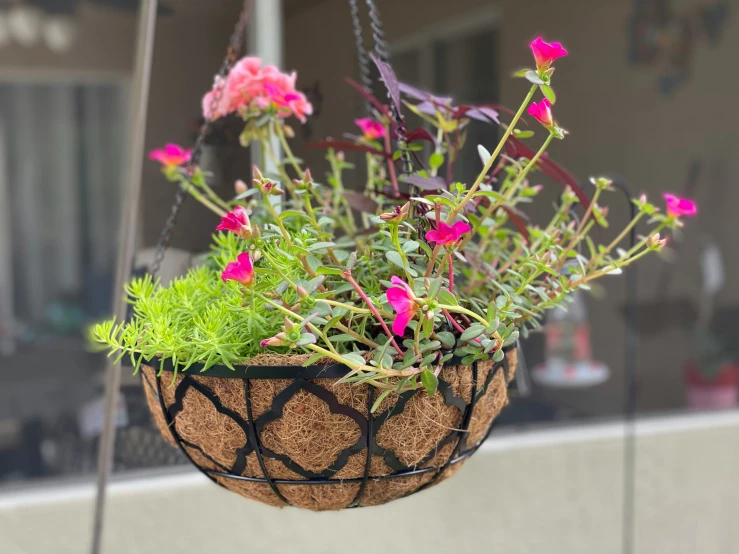 a hanging basket of pink flowers outside a home