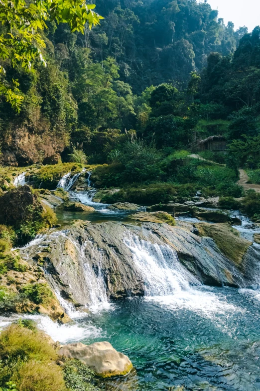 a waterfall running down from a forest to a lake