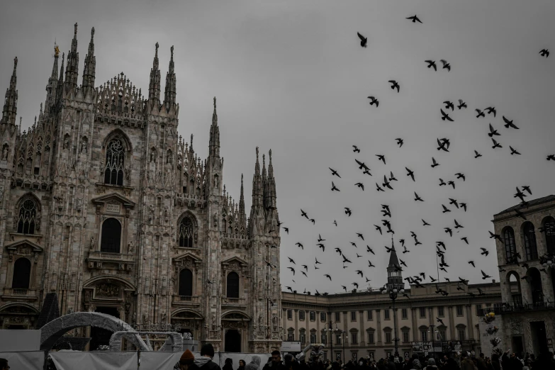 flocks of birds are flying high above cathedral