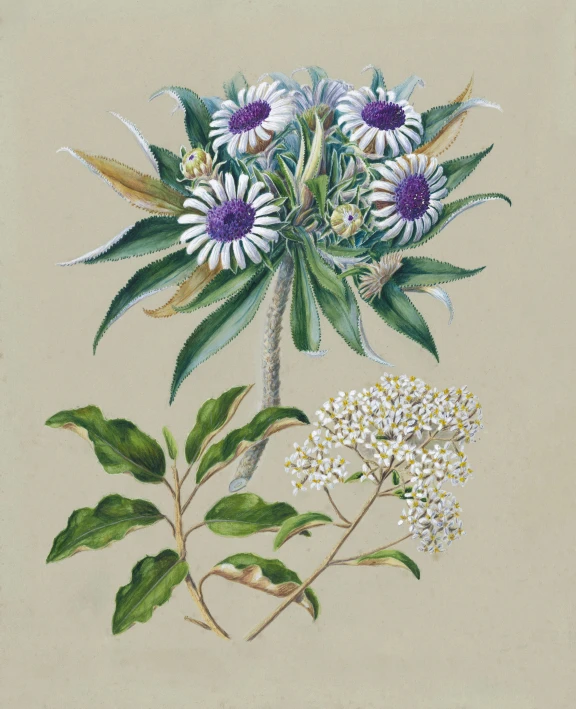 an illustration of white flowers and green leaves on a light tan background