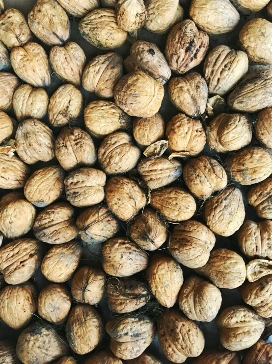 nuts, in a pile, top down s