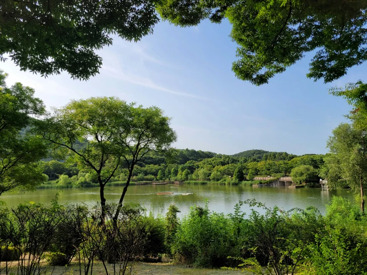 a lake in the middle of some trees and bushes