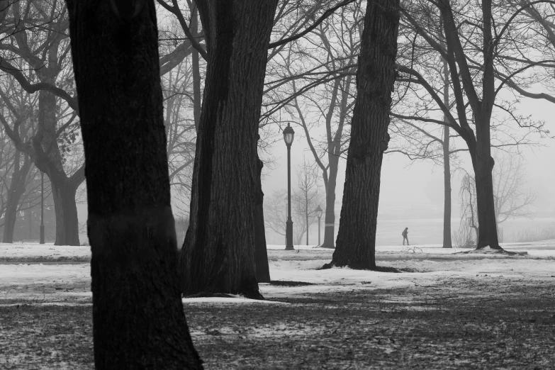 some people are walking on a snow covered path in the woods