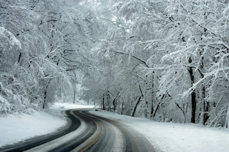 the snowy road is lined with snow and trees