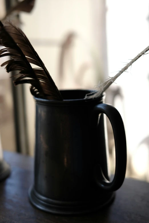 a close up of a mug with a feather in it