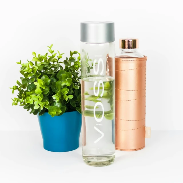a bottle of vodka, a green plant and some other items
