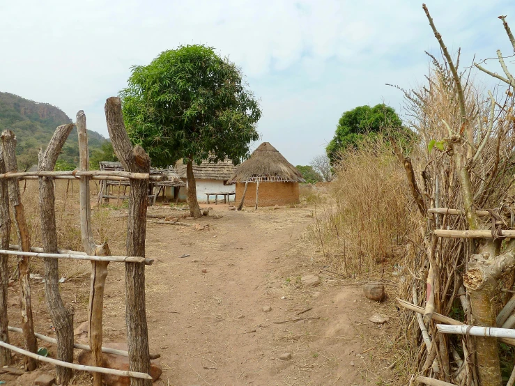 a dirt road leads to an african village