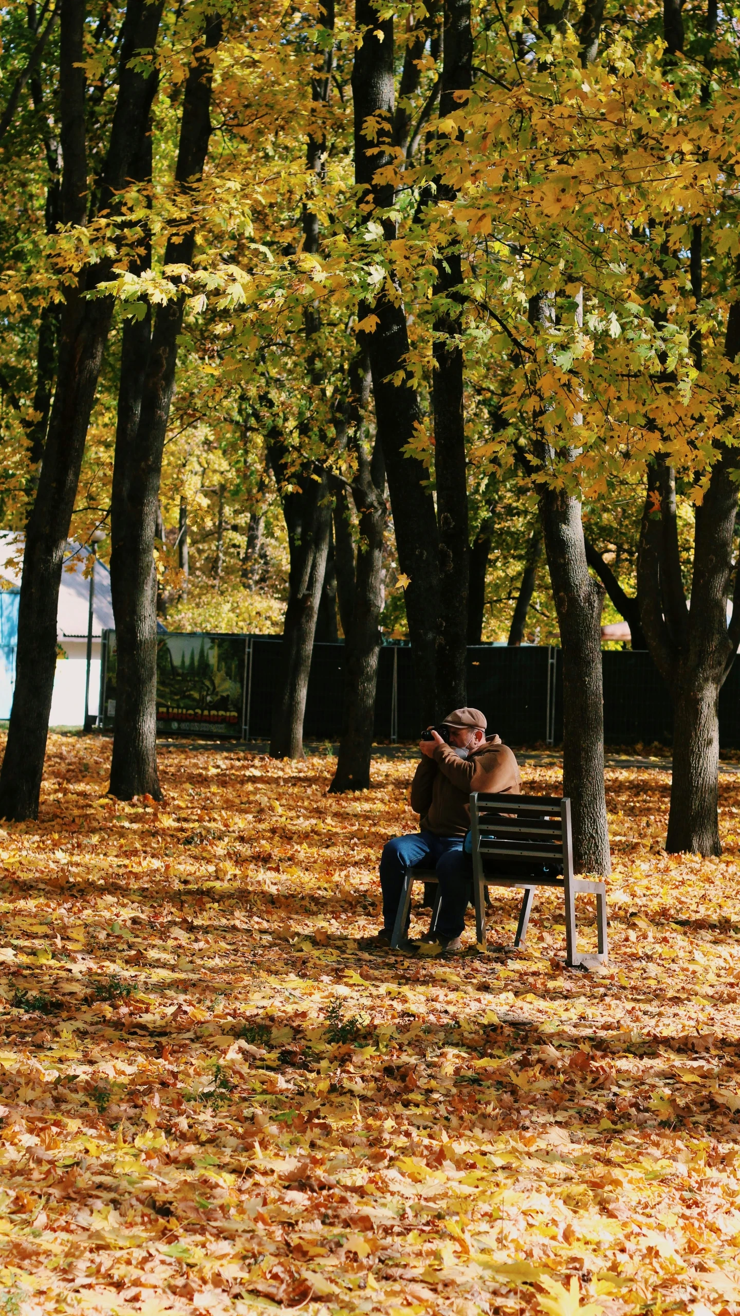 a couple is sitting on a bench under some trees