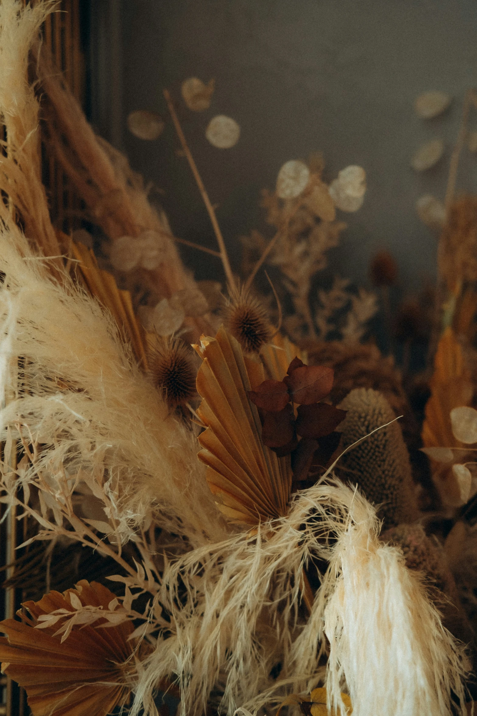 dried feathers scattered in a wire basket