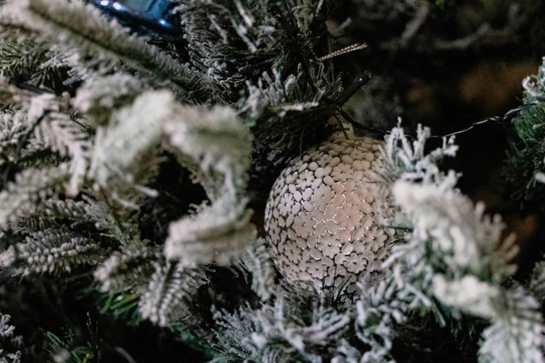 a close up of an ornament in the trees