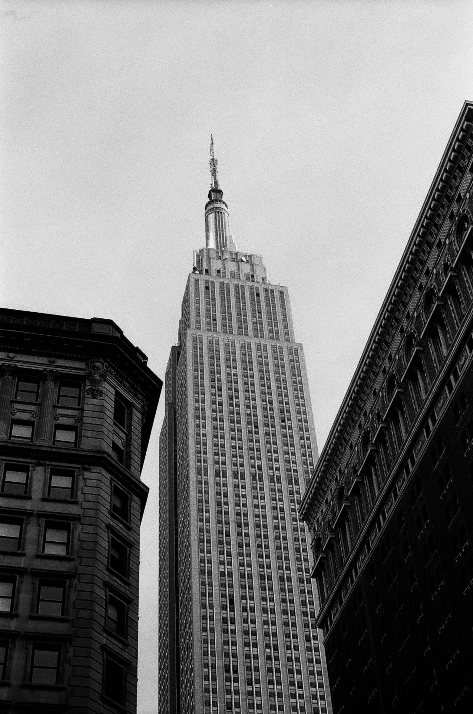 skyscrs are lined up in the city during winter