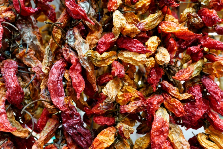 dried fruits are laying on a tray