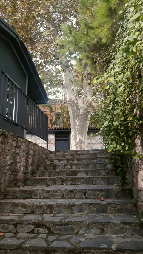 there are steps leading up the stairs next to some trees