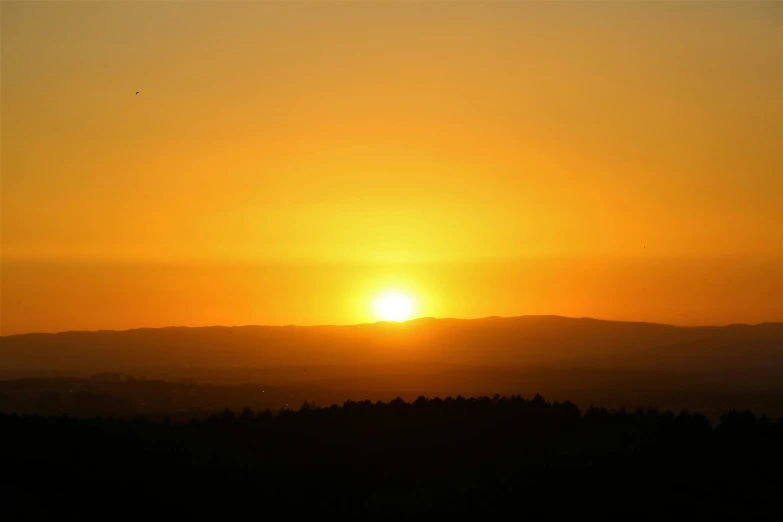 the setting sun as seen from the silhouette of trees