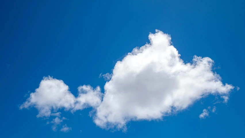 a cloud that looks like an elephant is floating in the blue sky