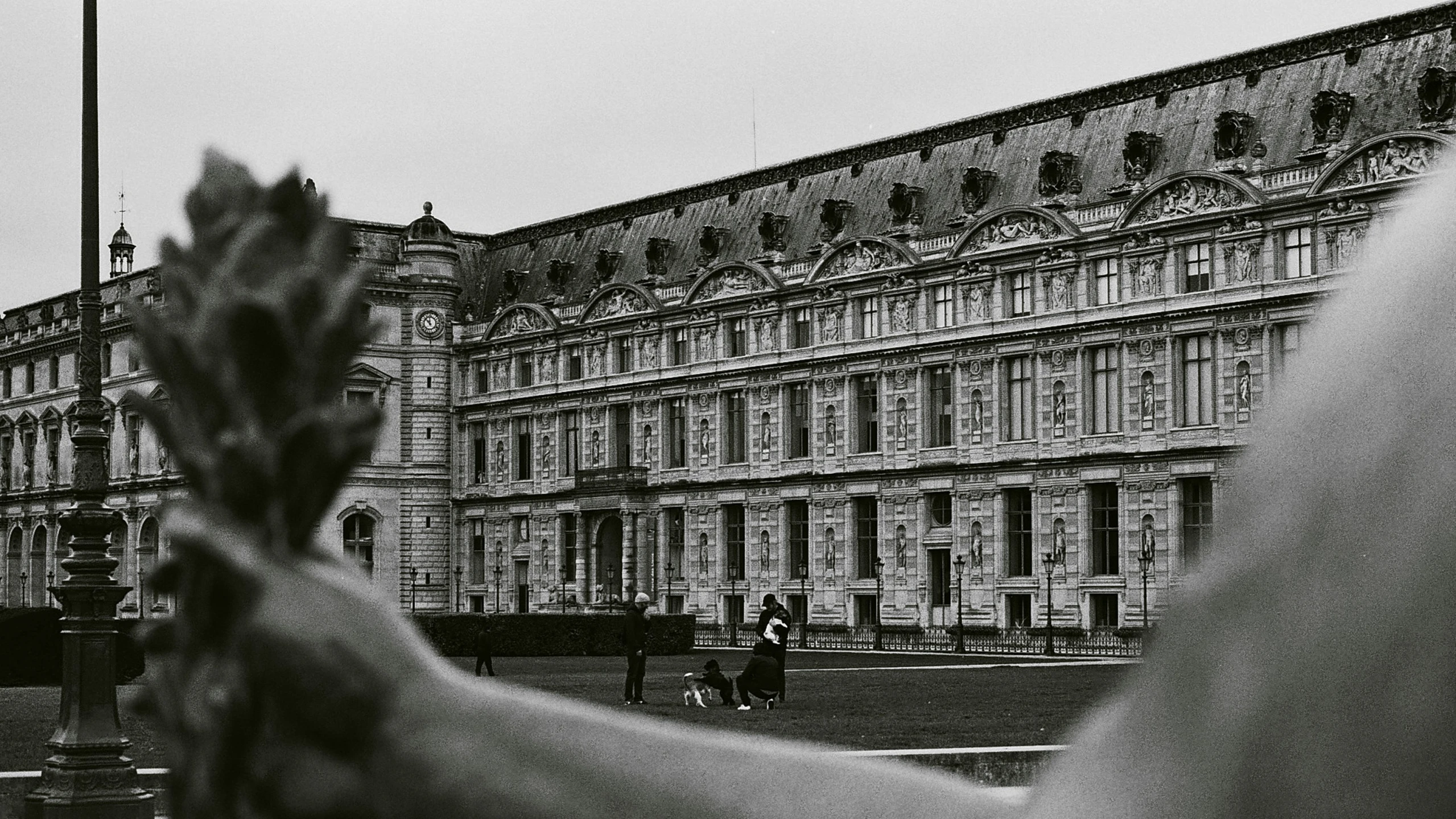 the back of a person holding a flower in front of a large building