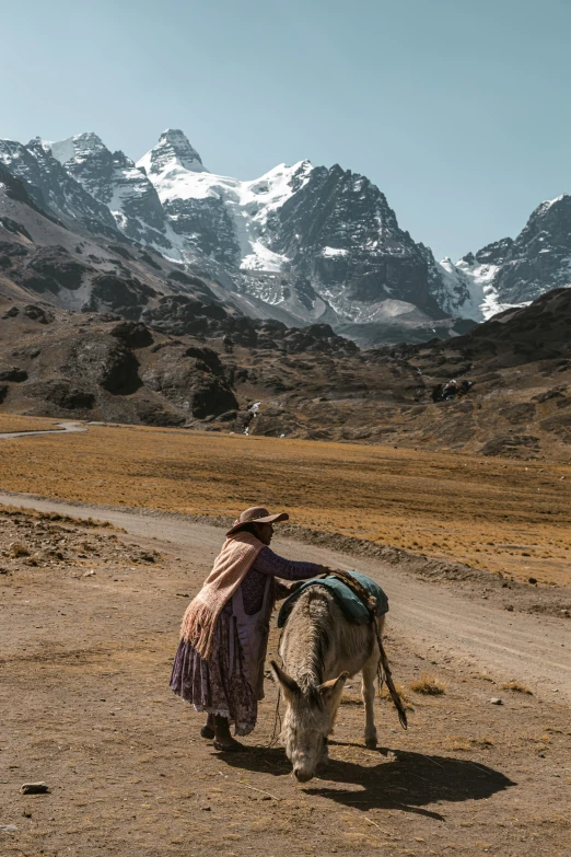 the woman walks beside a small donkey and snowy mountains