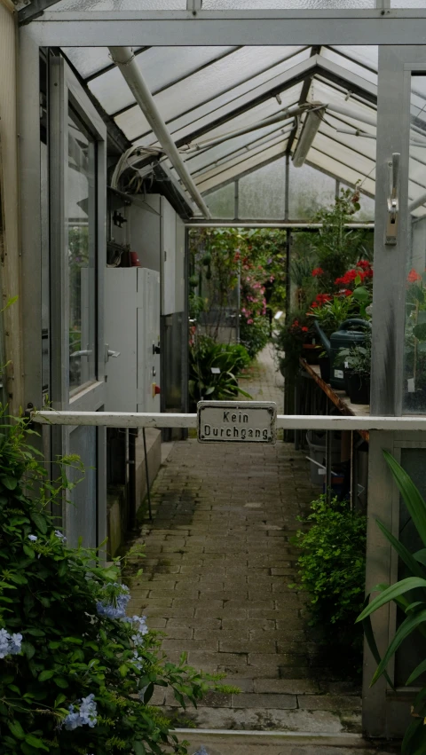 view into a house with lots of flowers growing