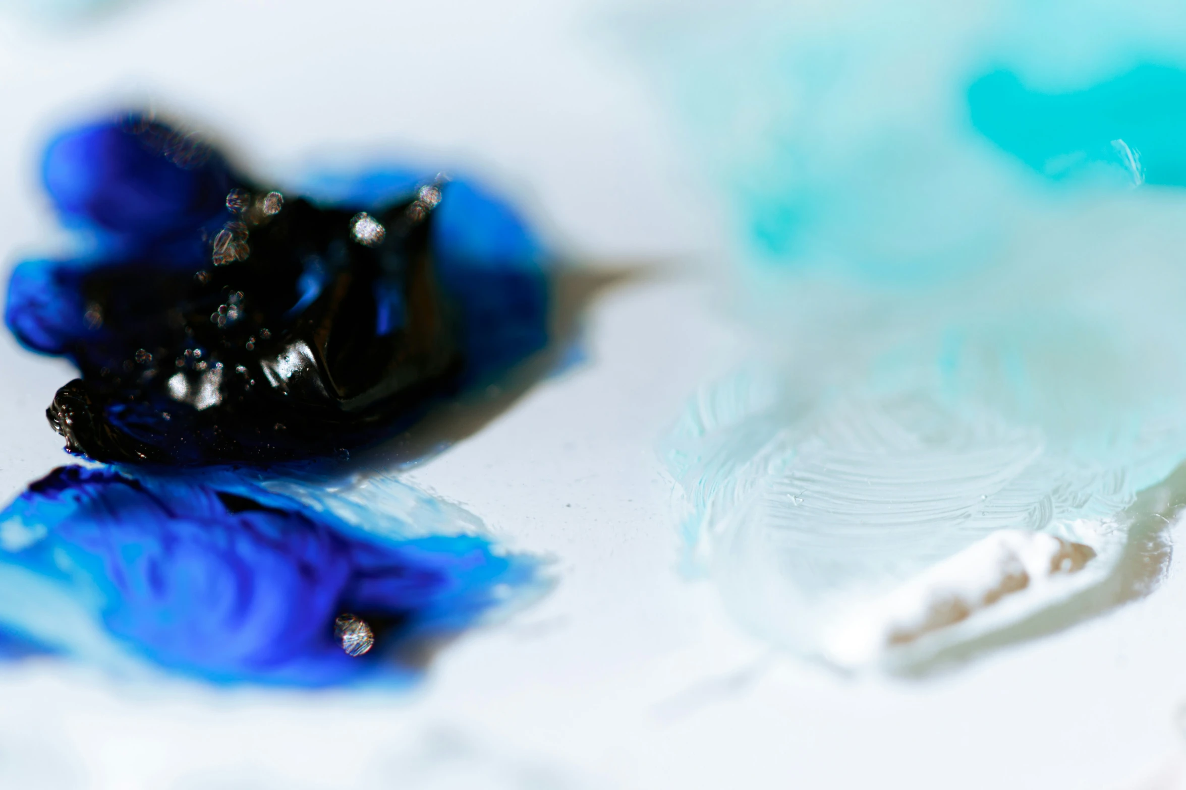 a bunch of small blue flowers on a table