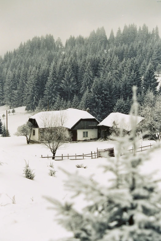 a home sits in a snowy pasture surrounded by trees