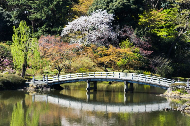 a bridge crossing over a small river near some trees