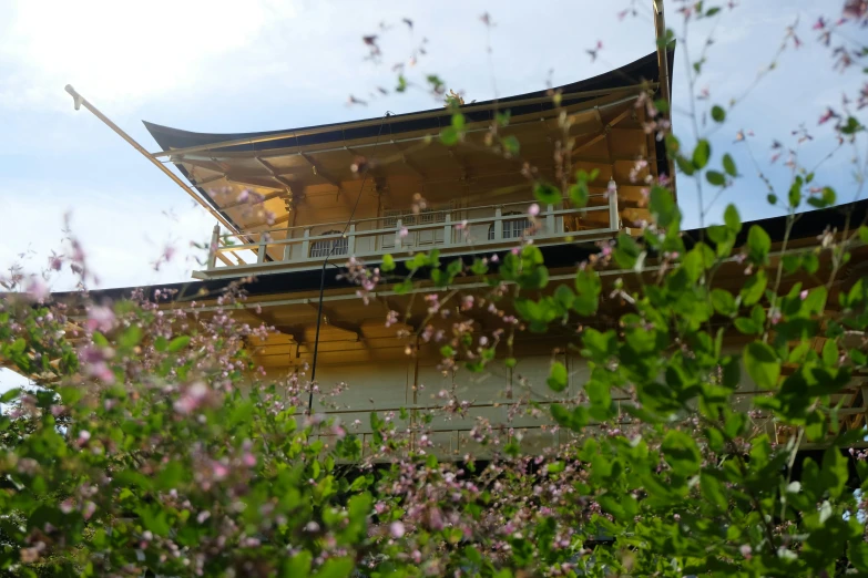 a tall building with lots of flowers around it