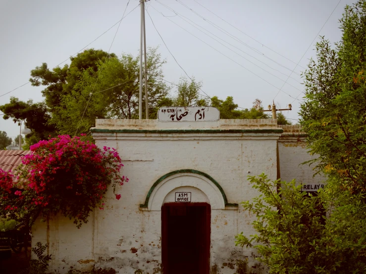 the building has two windows and some flowers