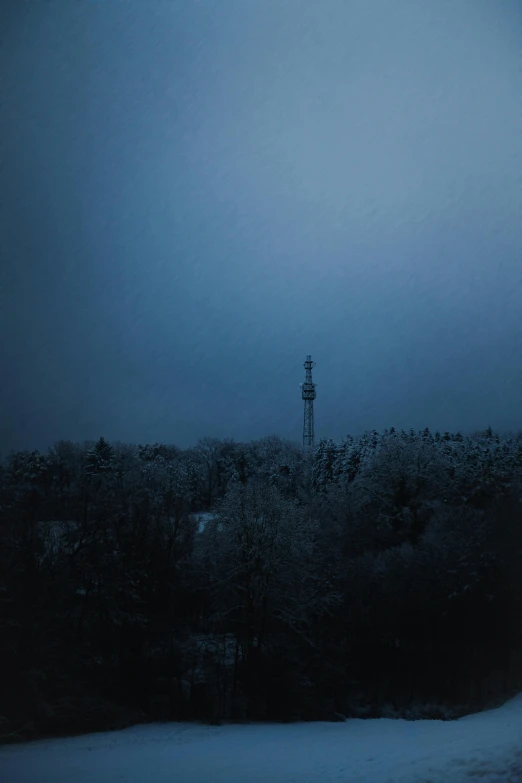 a tall tower near trees in a snowy landscape