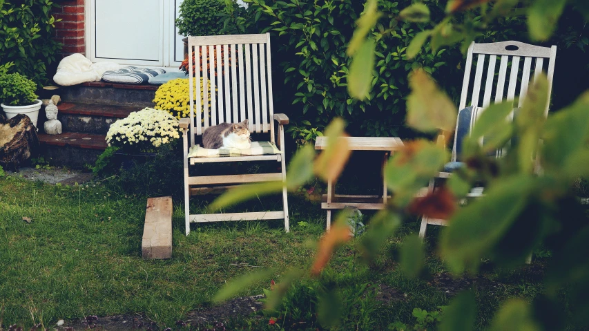 two wooden chairs sitting outside on grass