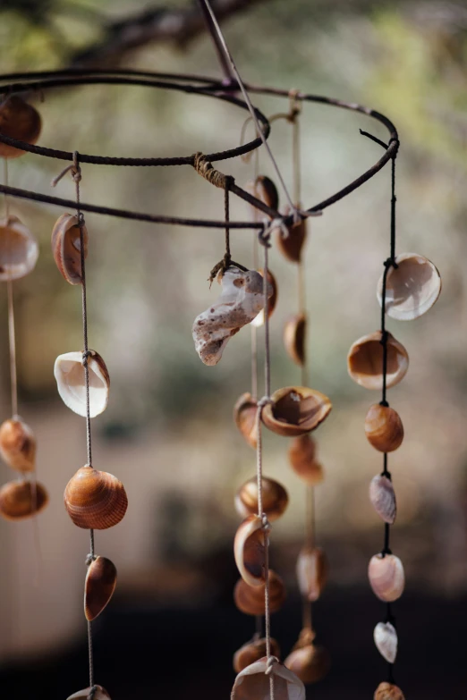 various shells hang on the rods outside