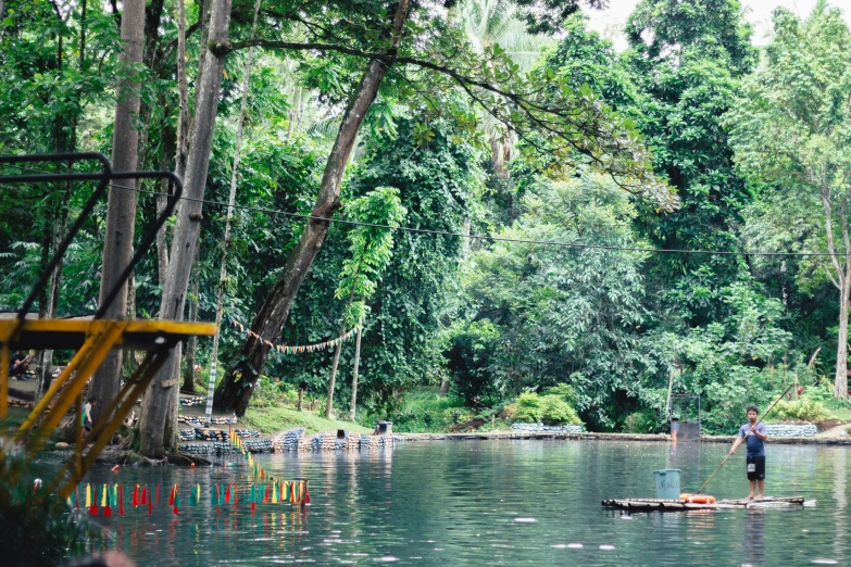 a person in a canoe surrounded by trees