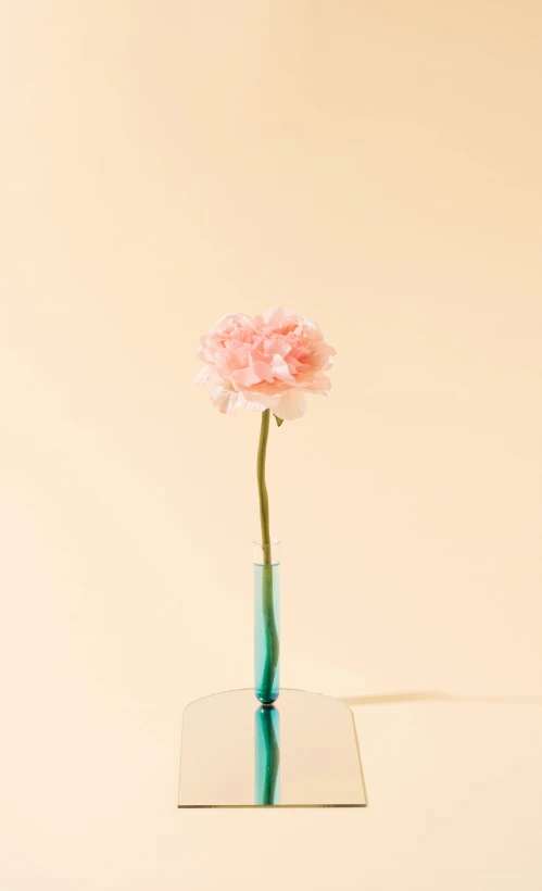 a small glass vase filled with water and flowers