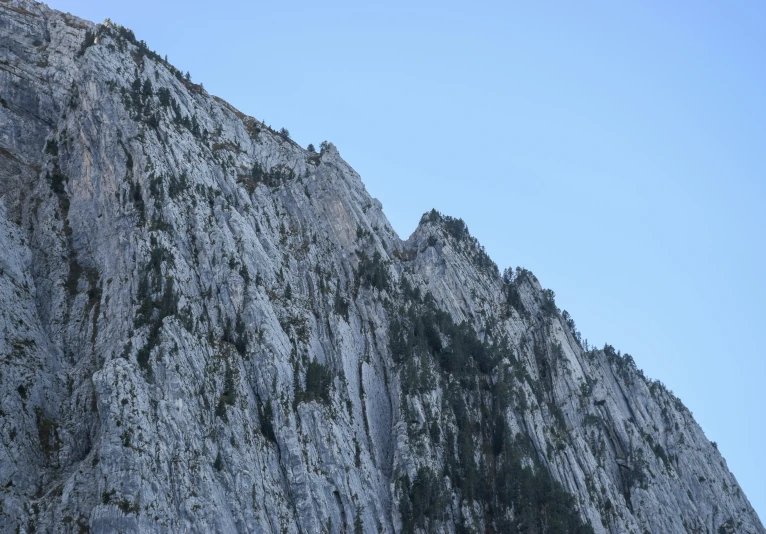 the top of a rocky mountain with trees growing on it