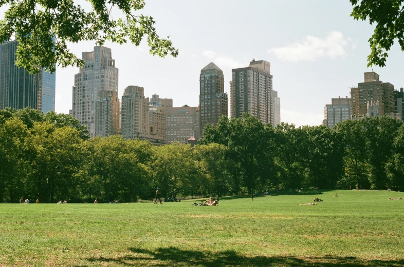 a field near tall buildings and the city in the background