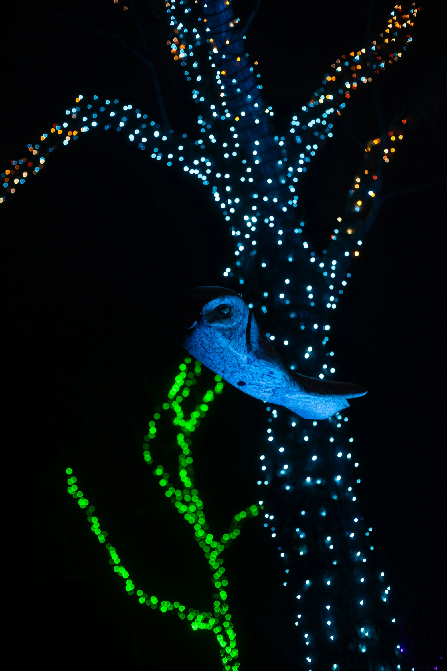 a long exposure of a blue and green tree with a crescented light