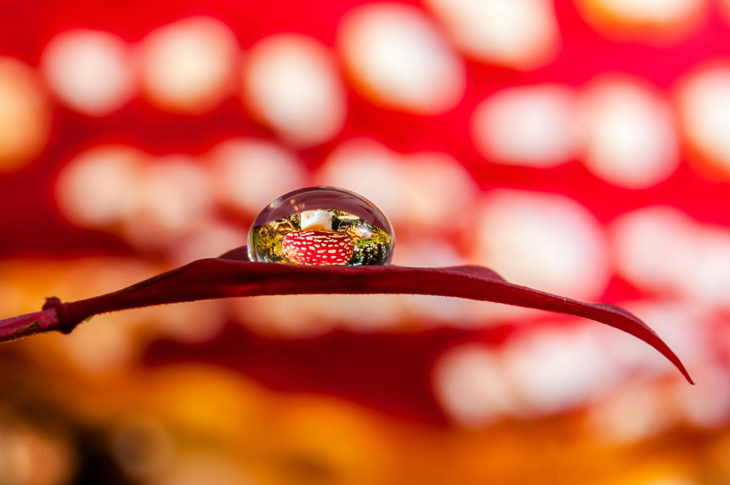 small crystal ball sitting on top of a leaf