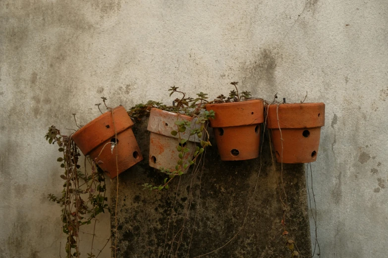 a wall that has four orange pots mounted on it