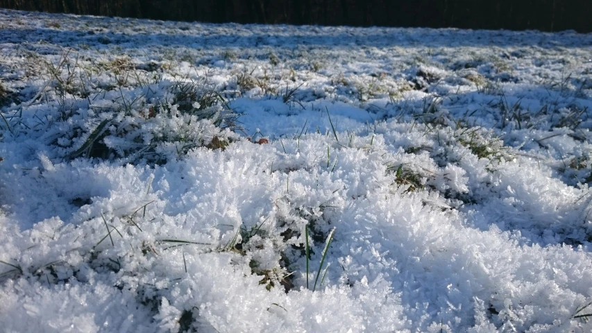 an image of a grassy field covered in snow