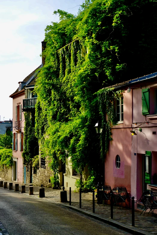 the sidewalk in front of several buildings that have trees on them