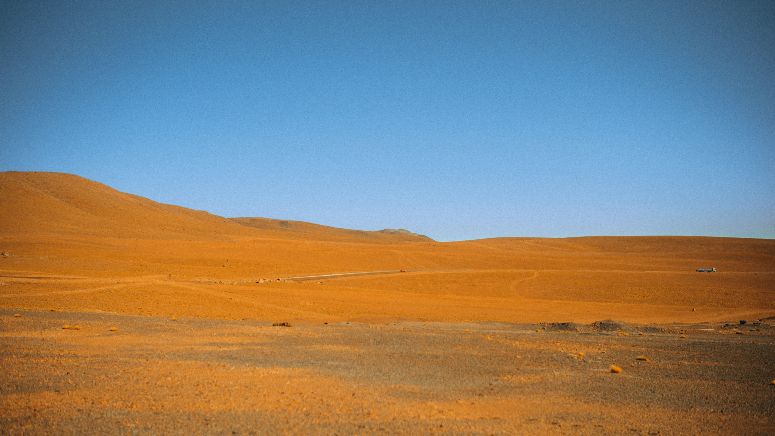 a dirt field with two animals walking by