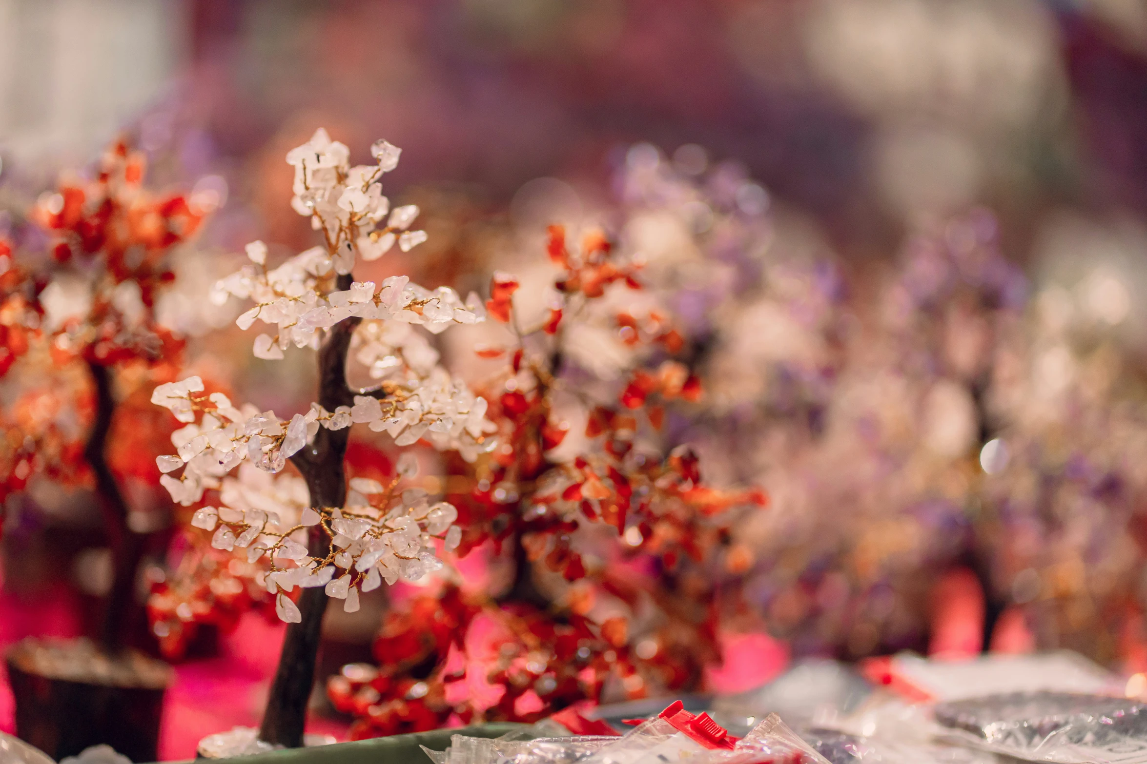 a close up image of a tiny white tree